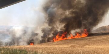 incendi sicilia
