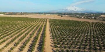 piana di catania