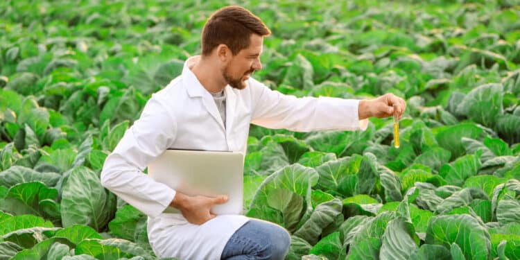 Male agricultural engineer working in field