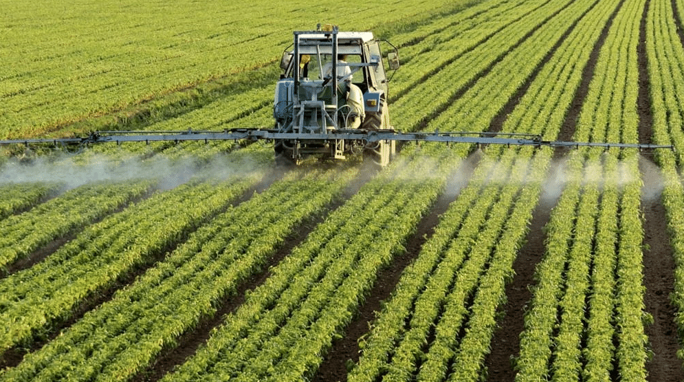 Indennità di disoccupazione agricola, in cosa consiste e a chi spetta