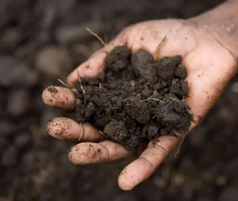 Italia, emergenza consumo di suolo: il WWF lancia l’allarme