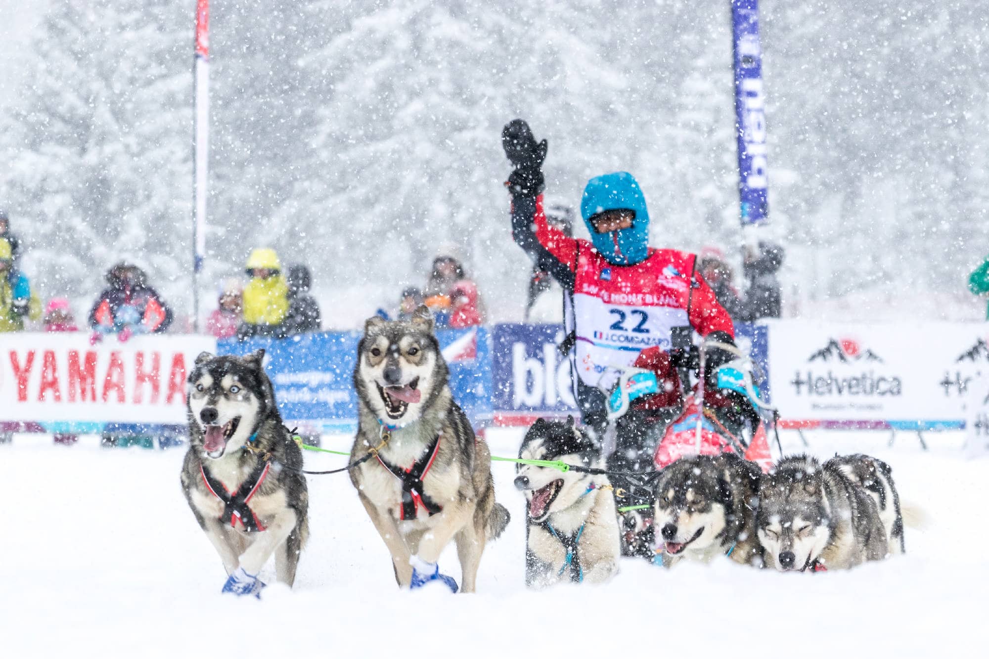 Olimpiadi Invernali, i giochi non più praticati: dai cani da slitta al pentathlon