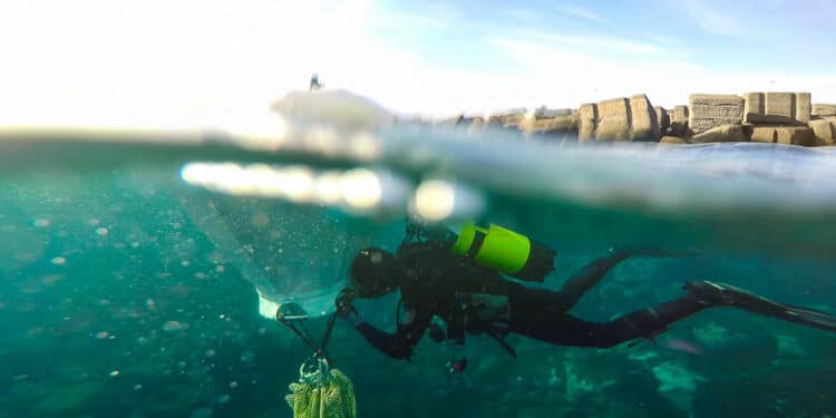 Ordigni Bellici Catania 750x375