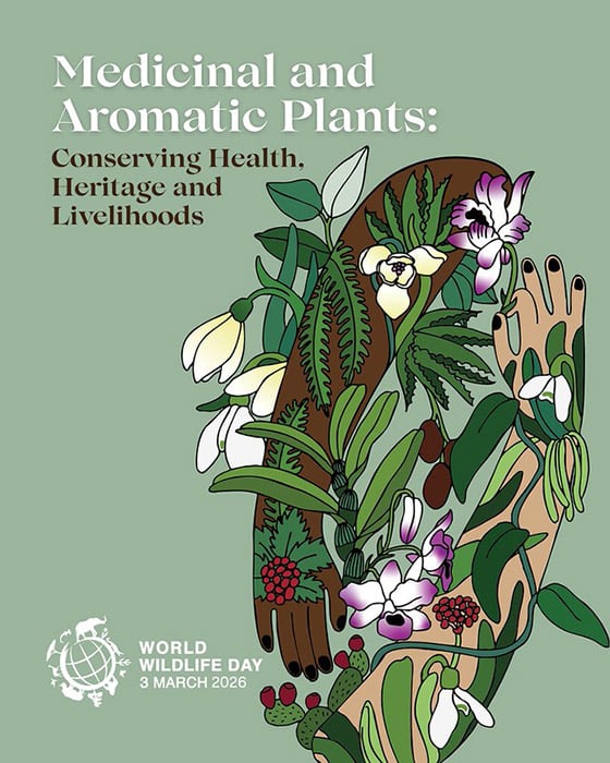 World Wildlife Day 2026; Immagine ufficiale delle Nazioni Unite