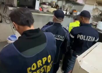Corpo forestale e carabinieri in azione