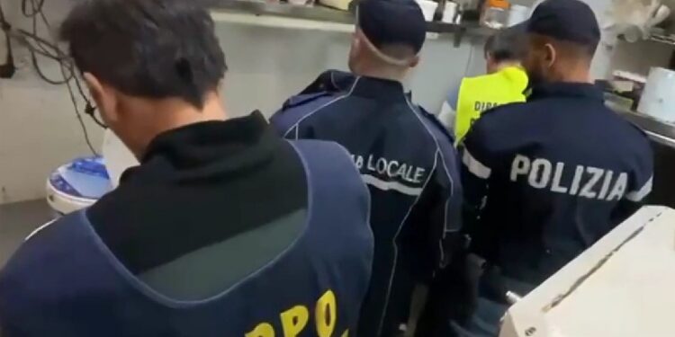 Corpo forestale e carabinieri in azione