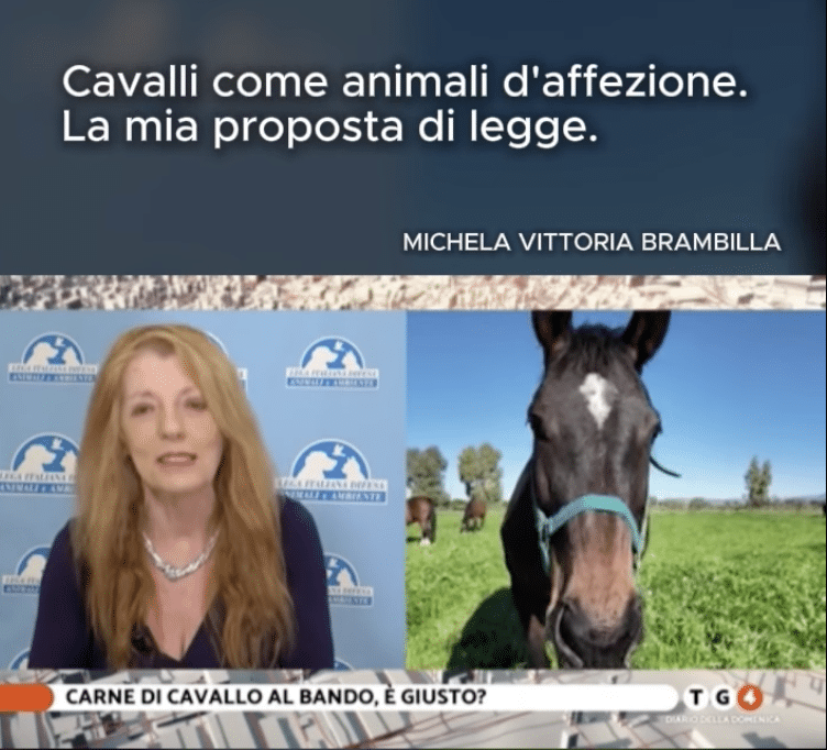 Addio alla macellazione equina: il piano della Brambilla per rivoluzionare lo status degli animali in Italia