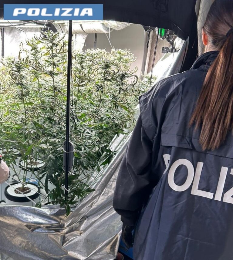 Odore di droga nel palazzo: arrestato 49enne catanese