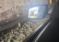 Foto presa dal profilo Facebook "quelli della tangenziale"