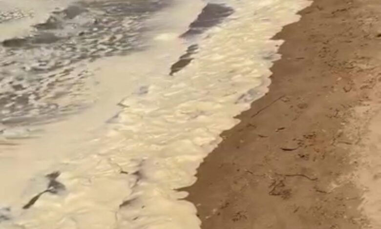 Acqua giallastra e schiuma in una spiaggia siciliana: scattano i campionamenti e i controlli delle autorità