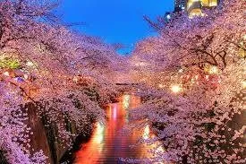 1481265 10201696405350633 1694994213 N