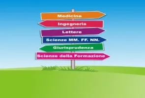 Ricerca Scelta Facolta 2013 295x200