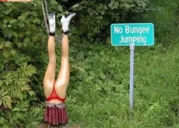 No Bungee Jumping