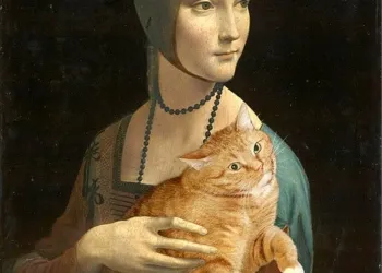 11069895 10155338575230261 5533913317835568894 N