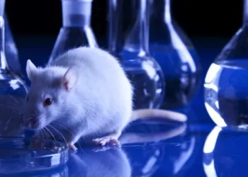 Ricerca Sperimentazione Animale