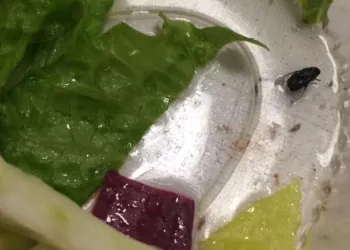 13178043 10209473381701600 2932143428070284071 N