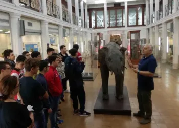 Dip Biologia Animale