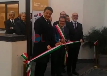 Renzi Torre Biologica