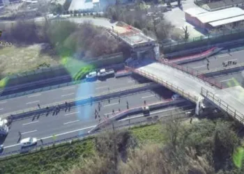 160359592 C9d5a656 D404 4159 B3b0 19d63d6a2e9f