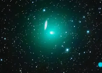 388277172829001prew 800x445