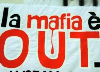 0FCEC5CB B8B7 4C1A BFD8 F5DCE289E484 E1510224848166