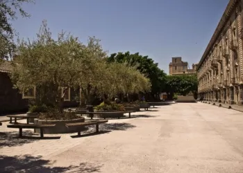 Nuove Aule Studio Ex Bar