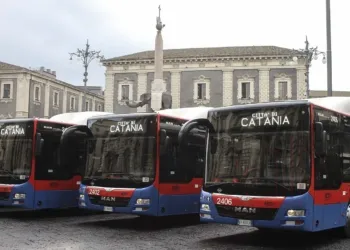 Autobus Amt Nuovi