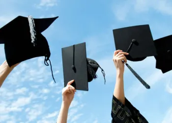 Lauree Professionalizzanti