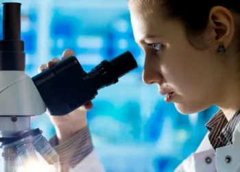 Borse Di Formazione Sicilia Dottorandi Laureati Scienze