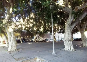 Piazza Dante Visita Mattarella