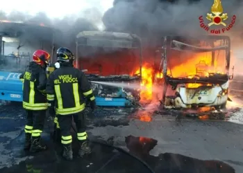 Received 10215782883353079