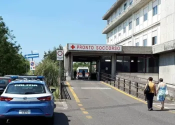 37802855 10216785193884850 4520115408711188480 N