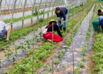 Agricoltura Sociale Anziani