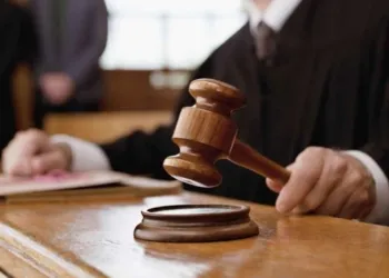 concorso scuola ricorsi