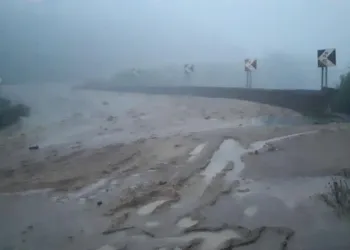 44054487 1883263951765657 3257572027879391232 N