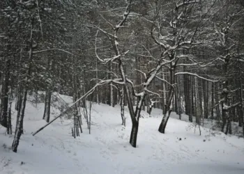 WhatsApp Image 2019 02 06 At 09.40.38