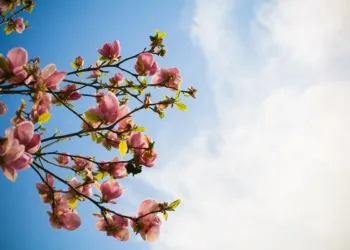 meteo Sicilia primavera