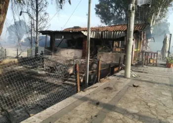 66290231 10157211475234373 1296375254834216960 O