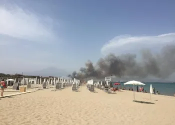 66328961 210322099869730 7211432574554472448 N