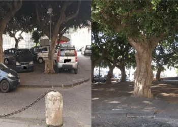 67487683 431713674101357 9104513910769188864 N