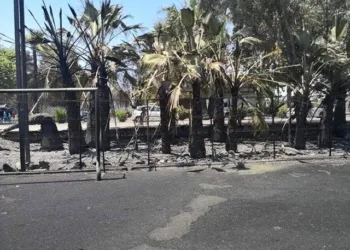 67492243 1973831269385216 3807291029602697216 N