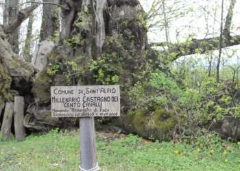 Castagno 100 Cavalli 2 1280x853