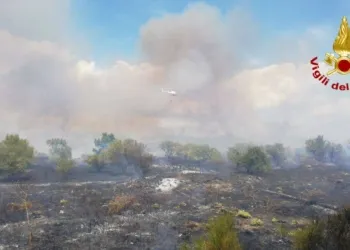 69063841 372025293698337 6030293362446172160 N