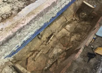 75392828 2471360379568015 4162333487514255360 O