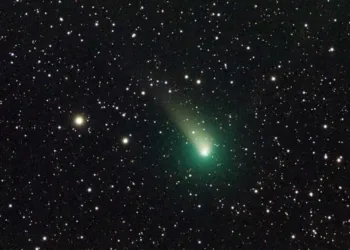 Cometa Natale Dicembre