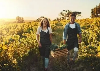 115014732 15f2e22c 02e4 49e9 A44d 6cec3bb7ef61.v1