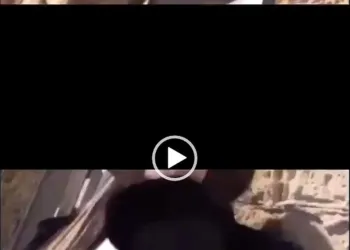 Coronavirus Agrigento Ragazze Zona Rossa.v1 1