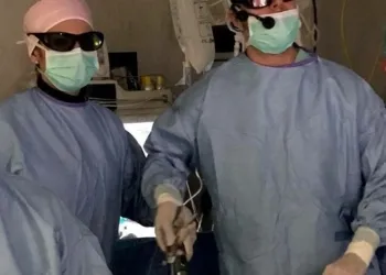 intervento garibaldi 3d