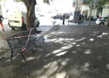 Piazza Dante Panchine