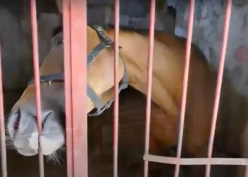 Schermata 2021 07 09 Alle 12.17.13